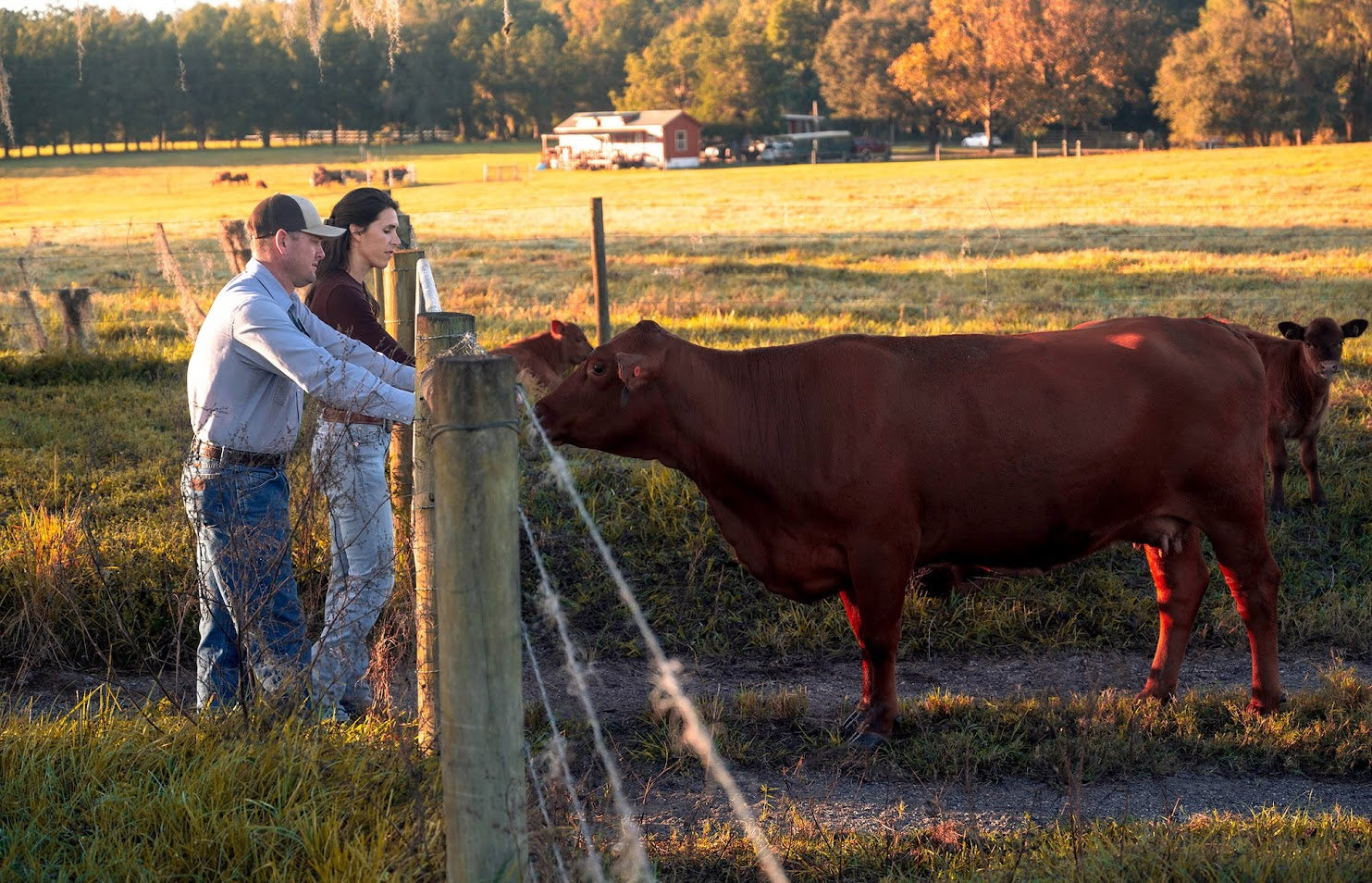 Why Knowing Your Rancher Still Matters – Riverbend Cattle Company