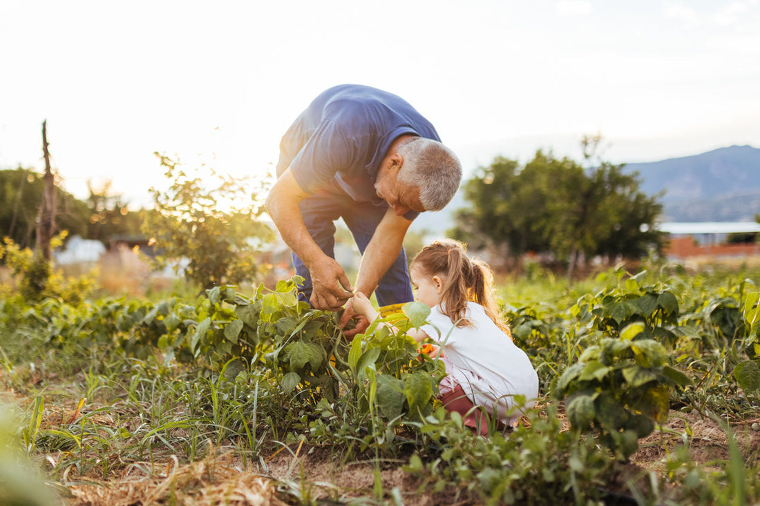 Teaching the Next Generation Where Food Comes From
