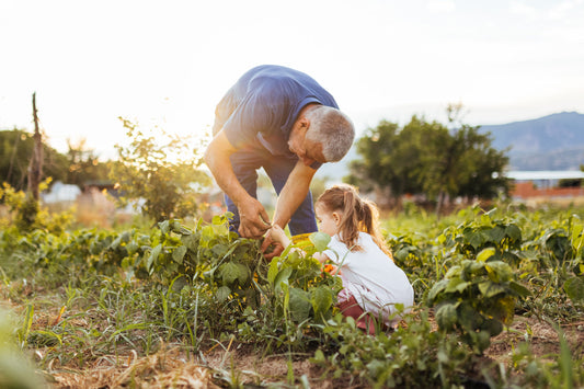 Teaching the Next Generation Where Food Comes From