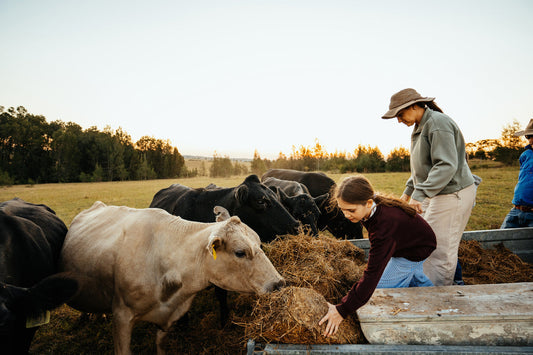 Fall Hayrides and Wagon Rides Near Tampa