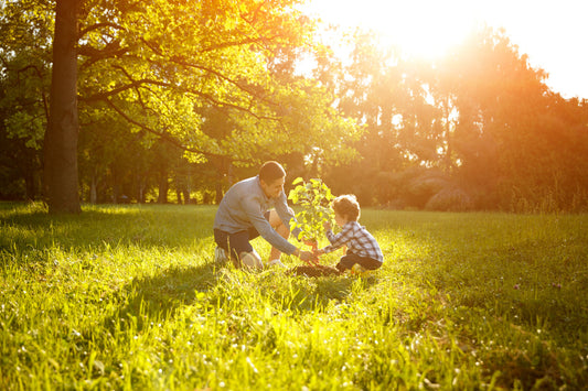 Why Buying Local Beef Matters – Supporting Florida Families