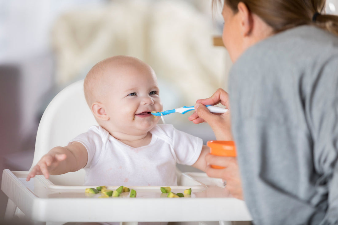 Bone Marrow for Babies: Why Parents Are Serving It and How to Do It Safely