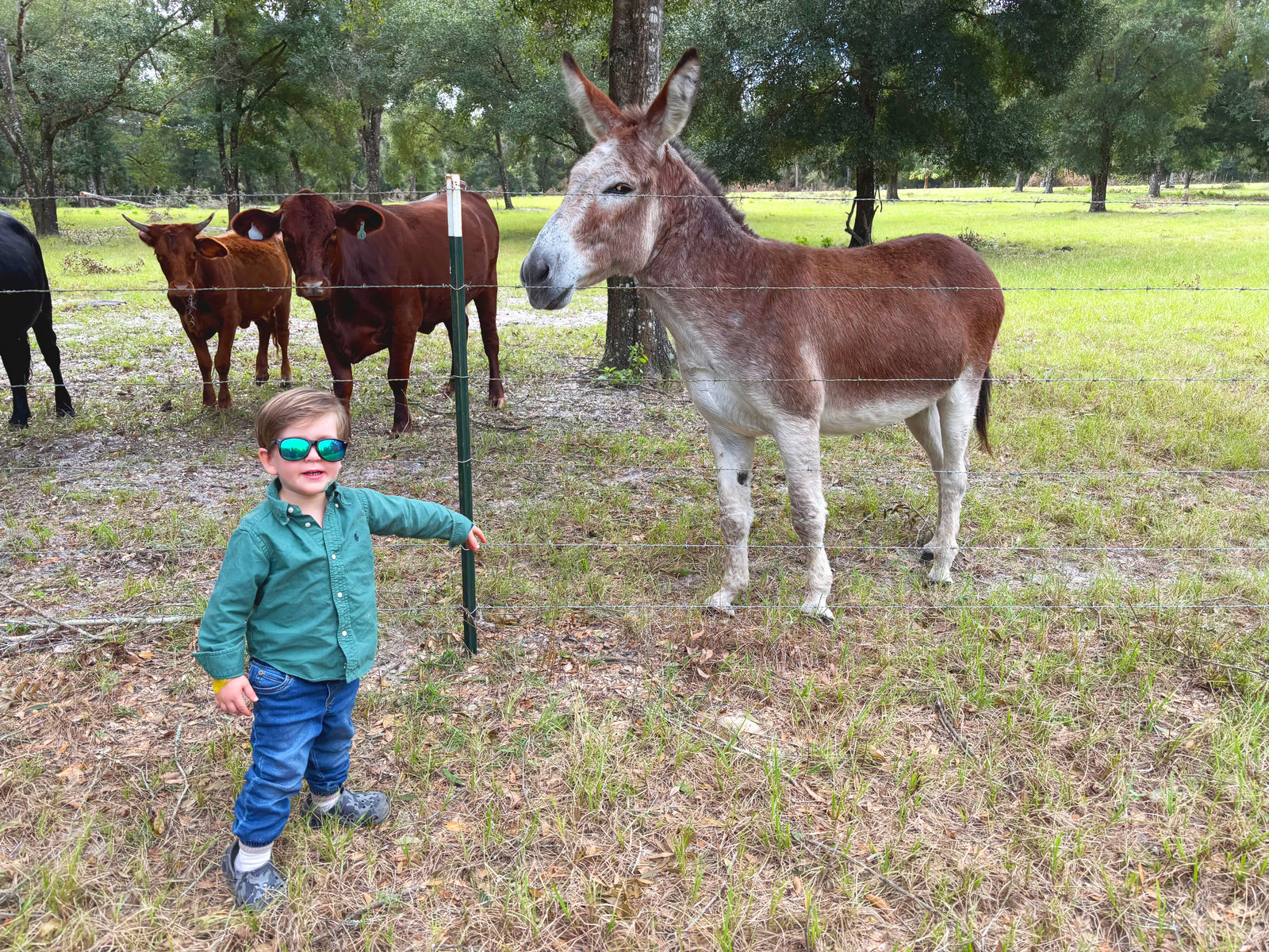 Riverbend Cattle Company photo 2