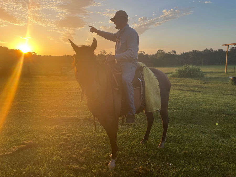 A rider on horseback silhouetted against the sunset over the pastures at Riverbend Cattle Company